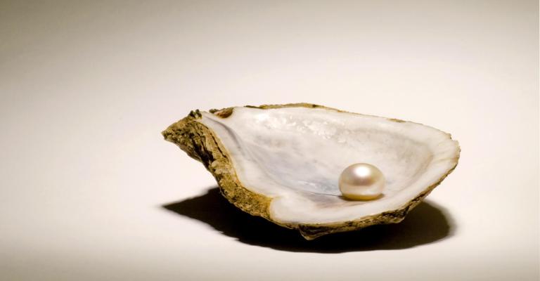 Shell with pearl